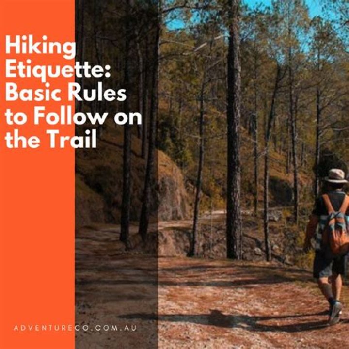 Essential Insights For A Safe And Enjoyable Experience